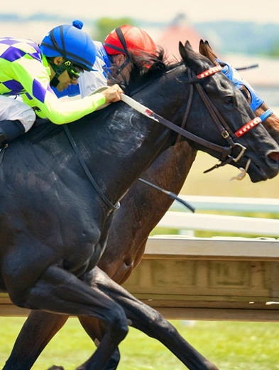Gros plan sur deux jockeys galopant côte à côte à toute vitesse lors d'une course hippique.