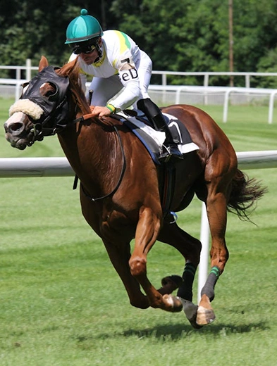 Des jockeys penchés en avant sur leurs chevaux en pleine course, participant à une course hippique au rythme effréné.