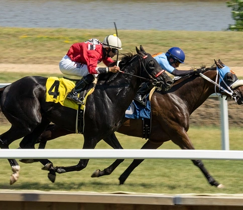 Un jockey en tenue rouge chevauchant un cheval de course sur une piste, concentré sur la vitesse et la performance pendant la compétition.