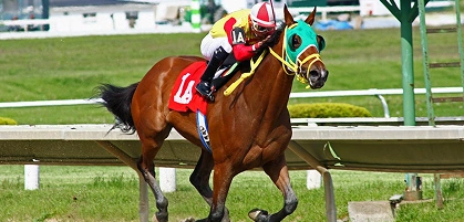 Un jockey seul sur un cheval lancé au grand galop sur une piste d'hippodrome, photographié en plein élan pendant une course.